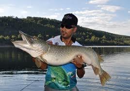 Nice Pics - image8s.jpeg